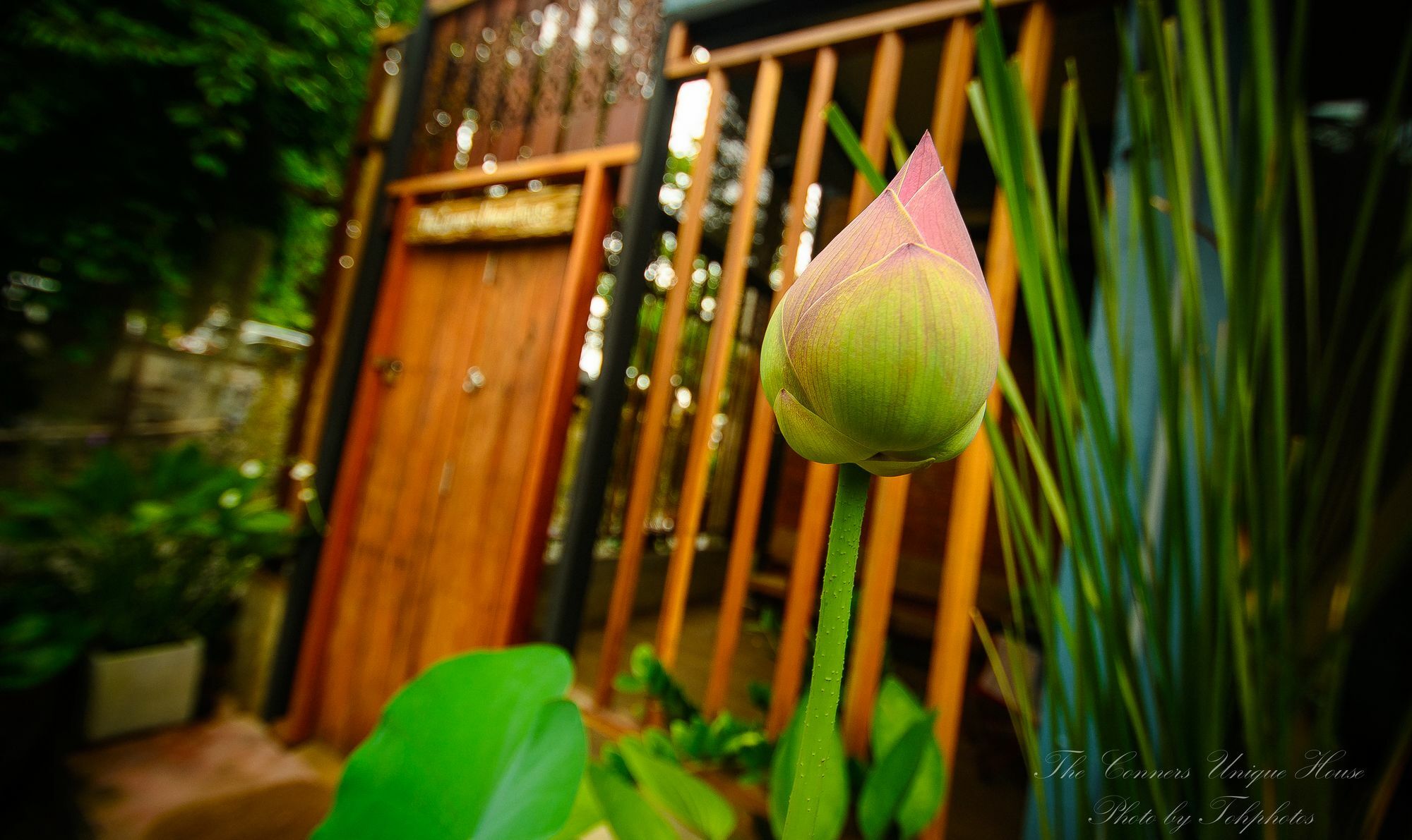 The Corner'S Unique House Villa Chiang Mai Eksteriør billede